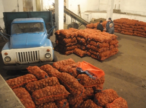 Казахстан ввел временный запрет на ввоз зараженного картофеля из кыргызстана