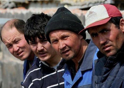 В казахстане более 300 тысяч нелегальных трудовых мигрантов
